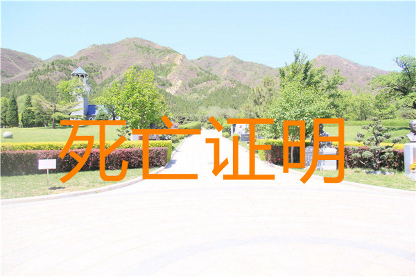 逝者的身份证用注销吗（身份证注销时间）